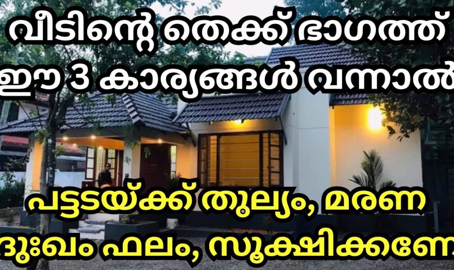 നിങ്ങളുടെ വീടിന്റെ തെക്കുഭാഗം ഇങ്ങനെയാണോ. എങ്കിൽ സൂക്ഷിക്കുക.