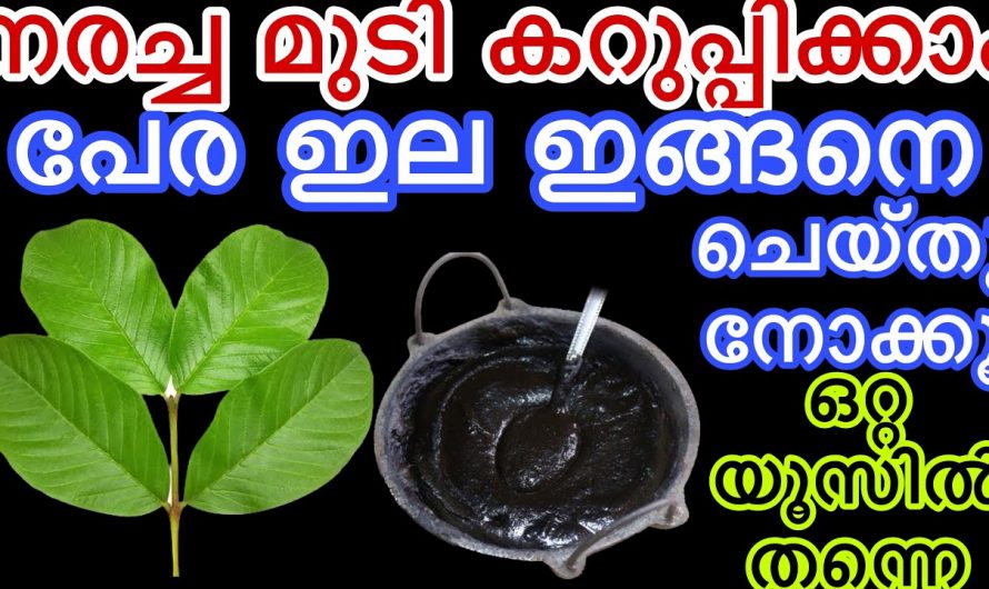 ഇനിയും നിങ്ങൾ കെമിക്കൽ അടങ്ങിയ ഹെയർ ഡൈ ആണോ ഉപയോഗിക്കുന്നത്, അറിഞ്ഞില്ലേ ഈ ഒരു ഇല മാത്രം മതി നല്ല നാച്ചുറൽ ഹെയർ ഡൈ തയ്യാറാക്കാം.