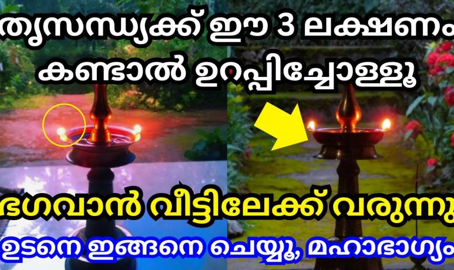 നിങ്ങളുടെ വീട്ടിൽ ഭഗവാന്റെ സാന്നിധ്യം  കാണിച്ചു തരുന്ന 3 ലക്ഷണങ്ങൾ.