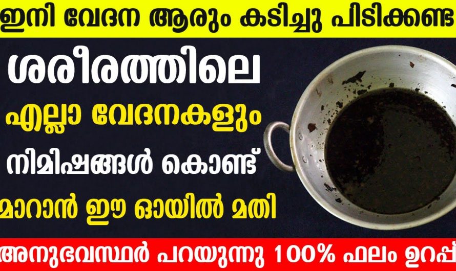 ശരീരത്തിന്റെ ഏത് ഭാഗത്തും ഇനി ഈ ഇല വേദന മാറ്റും.