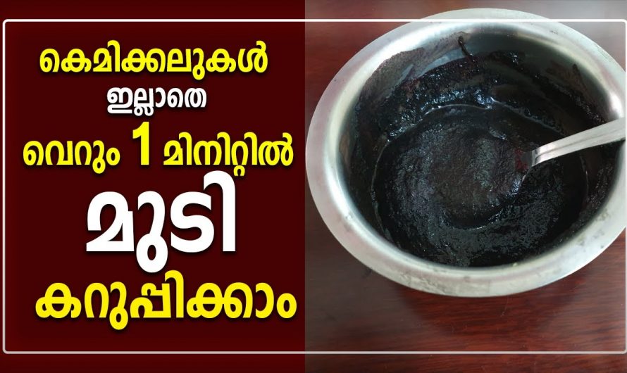 മിനിറ്റുകൾക്കുള്ളിൽ നാച്ചുറലായി ഇനി മുടി കറുപ്പിക്കാം