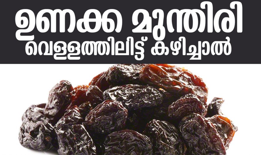 ഉണക്കമുന്തിരി ഇഷ്ടപ്പെടുന്നവരാണോ, നിത്യവും ഉണക്കമുന്തിരി കഴിച്ചാൽ ഉണ്ടാവുന്നത്