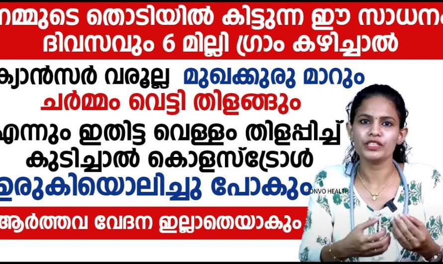 ഈ പഴത്തിന്റെയും ഇലയുടെയും ഗുണം കേട്ടാൽ നിങ്ങൾ ഞെട്ടും