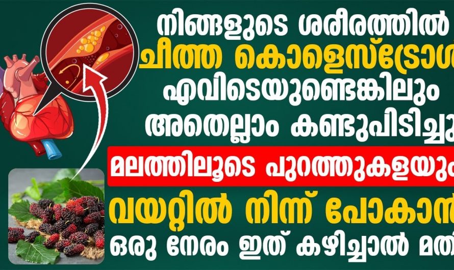 ഇതിന്റെ ഇലയും കായും അത്ഭുതപ്പെടുത്തുന്ന റിസൾട്ട് ഉണ്ടാക്കും