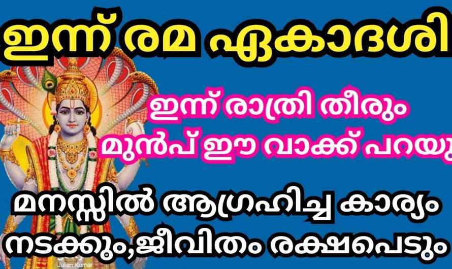 അതിവിശിഷ്ടമായ ഈ ദിവസം ഏറ്റവും ഉപയോഗപ്രദമായ രീതിയിൽ ഉപയോഗിക്കുക