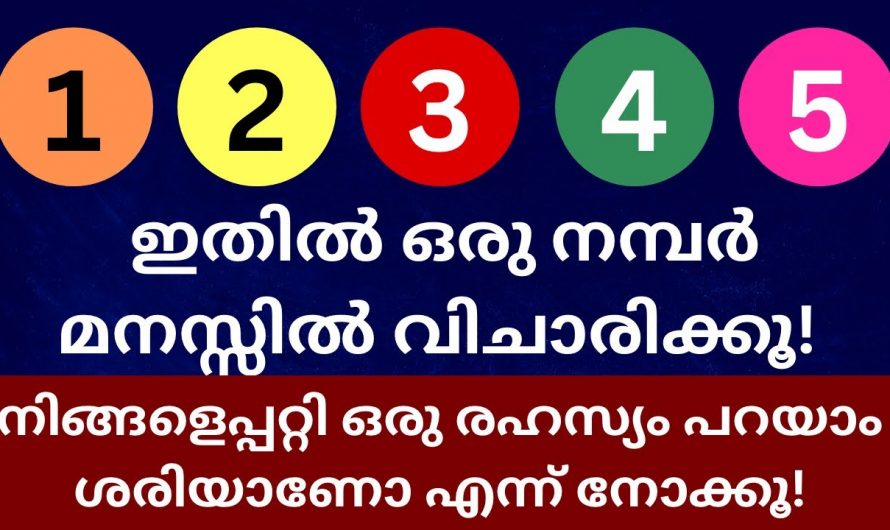 നിങ്ങളുടെ ജീവിതത്തെ ഈ നമ്പർ എങ്ങനെ സ്വാധീനിക്കുന്നു എന്നറിയാൻ ഒന്ന് തൊട്ടു നോക്കൂ