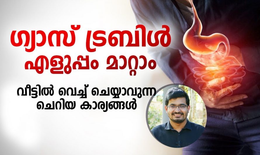 ഭക്ഷണത്തിനോടൊപ്പം ഇത് അധികമായി ഉൾപ്പെടുത്തിയാൽ ഏത് ദഹന പ്രശ്നവും മാറും