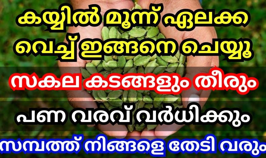 വെറും മൂന്ന് ഏലക്ക കയ്യിലുണ്ടെങ്കിൽ ഇനി നിങ്ങൾക്കും പണക്കാരൻ ആകാം