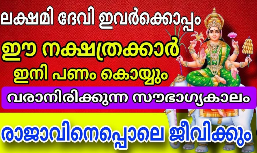 എത്തി മക്കളെ ആ നല്ല കാലം ഇനി ഈ നക്ഷത്രക്കാരുടെ സൗഭാഗ്യമാണ്.