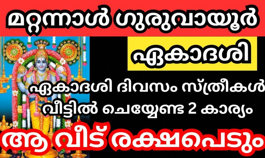 കാത്തിരുന്ന ആ ഏകാദശി വന്നെത്തി നിങ്ങളുടെ വീട് രക്ഷപ്പെടാൻ ഇനി ഇതു മാത്രം മതി