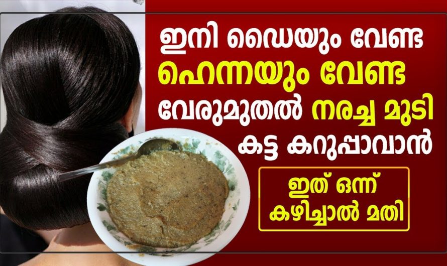 ഒരു ഹെയർ ഡയ്യും വേണ്ട നിങ്ങൾക്കും ഇനി കറുത്തിരണ്ട മുടി സ്വന്തമാക്കാം