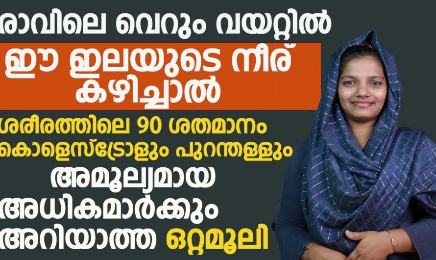 ദിവസവും ഈ ഇല ഇട്ട്   തിളപ്പിച്ച വെള്ളം കുടിച്ചാൽ നിങ്ങൾക്ക് ഏത് കൊളസ്ട്രോളിനെയും ഉരുക്കി കളയാം.