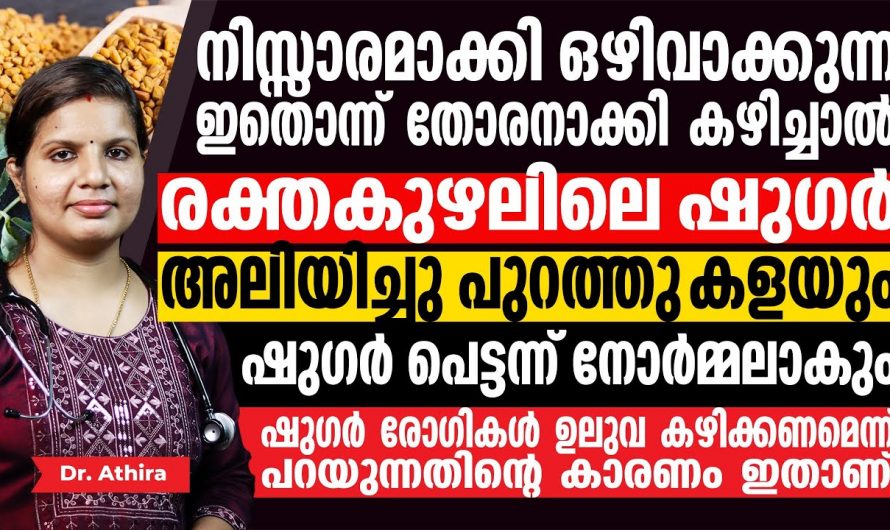 ഇത് കറി ഉണ്ടാക്കി കഴിച്ചാൽ നിങ്ങളുടെ പ്രമേഹം നിയന്ത്രിക്കാൻ വളരെ എളുപ്പം