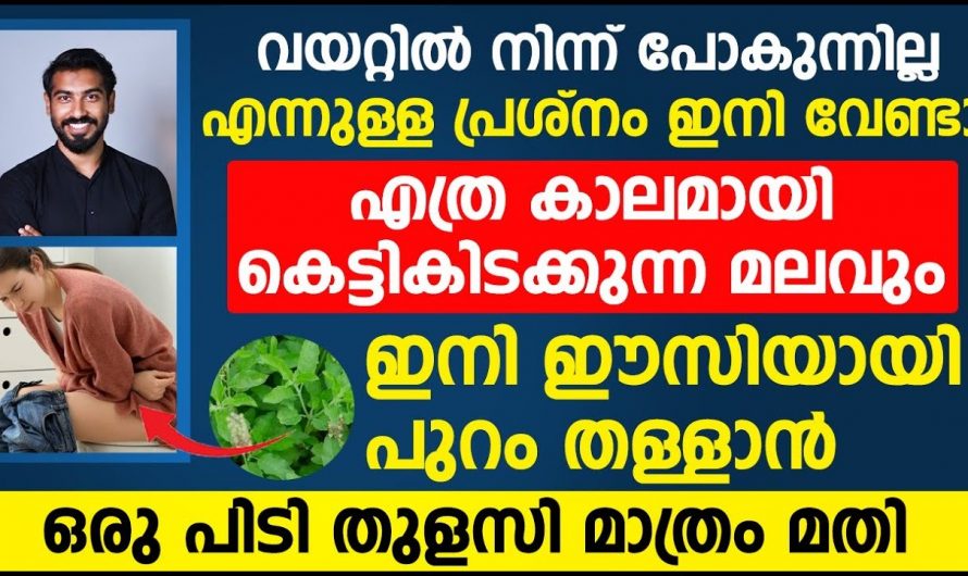 കറ്റാർവാഴയും ശർക്കരയും ചേർത്ത് ഇങ്ങനെ ചെയ്താൽ എത്ര പഴകിയ മലവും പുറത്തു പോകും