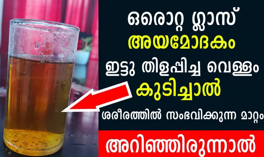 അയമോദകം എന്ന അത്ഭുത മരുന്ന് നിങ്ങൾ എപ്പോഴെങ്കിലും ഉപയോഗിച്ചിട്ടുണ്ടോ.