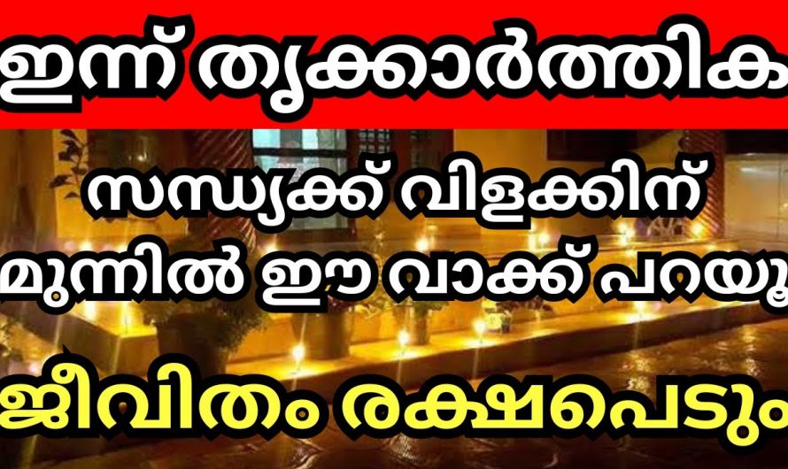 ഈ തൃക്കാർത്തികയ്ക്ക് ദീപാലങ്കാരം ഇങ്ങനെയൊന്നു ചെയ്തു നോക്കൂ.