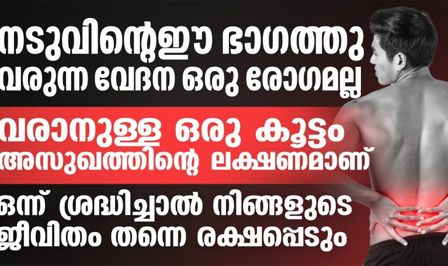 ഒന്ന് ശ്രദ്ധിച്ചാൽ ഈ നടുവേദന നിസ്സാരമായി മാറ്റിയെടുക്കാം