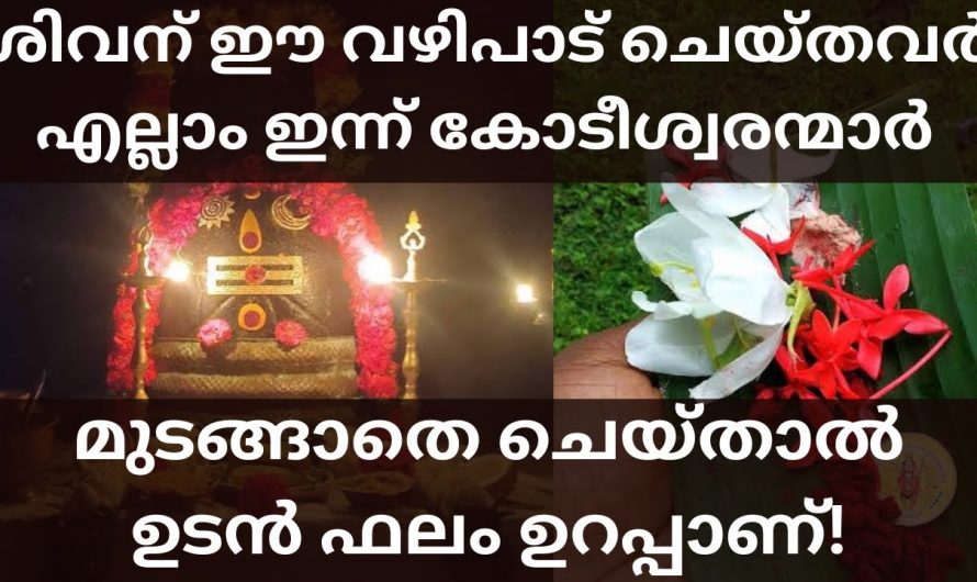 പതറാതെ പിടിച്ചുനിൽക്കുന്നവൻ നാളെ കോടീശ്വരനാണ്. മഹാദേവൻ നിങ്ങളെ അനുഗ്രഹിക്കും ഉറപ്പാണ്