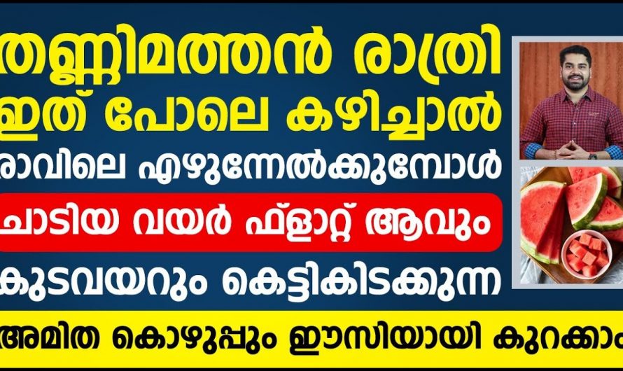 നിങ്ങൾ ഇതുവരെ അറിഞ്ഞില്ലേ തടി കുറയ്ക്കാൻ ഷേയ്ക്ക് കുടിക്കുന്നവർ ഇത് അറിയാതെ പോകരുത്