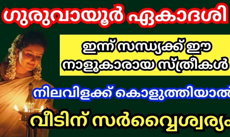 ഈ ഏകാദശിക്ക് ഇവർ വിളക്ക് കൊളുത്തിയാൽ സംഭവിക്കുന്നത്