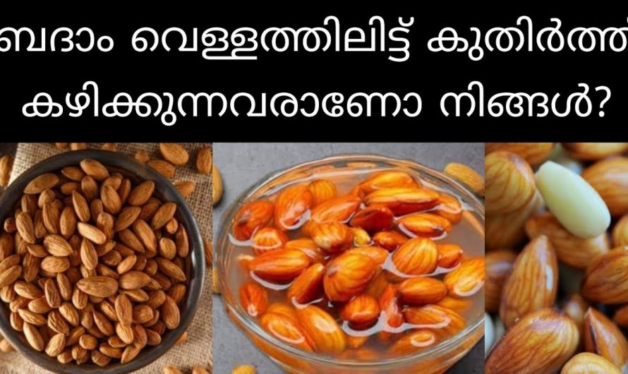 ദിവസവും വെറും വയറ്റിൽ ബദാം കഴിച്ചാൽ നിങ്ങൾക്ക് ലഭിക്കുന്ന വിശിഷ്ട ഗുണങ്ങൾ