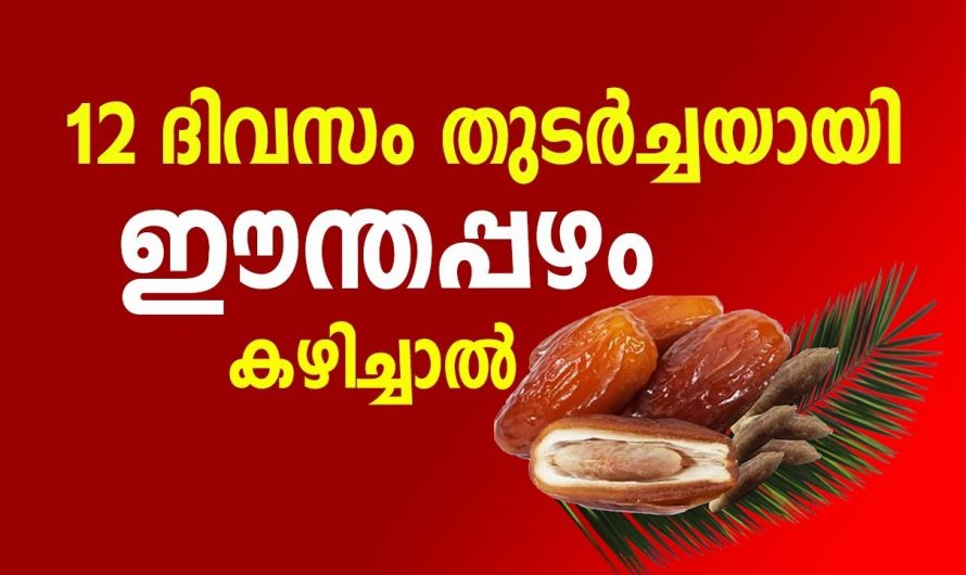 ഈത്തപ്പഴം തുടർച്ചയായി ഇങ്ങനെ കഴിച്ചാൽ, നിങ്ങൾ അറിയാതെ പോയ ആ രഹസ്യം