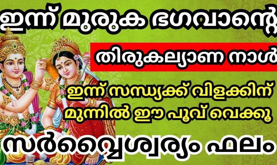 തിരുകല്യാണദിവസം ഭഗവാൻ ചിത്രത്തിനു മുന്നിൽ ഇങ്ങനെ ചെയ്താൽ സംഭവിക്കുന്നത്