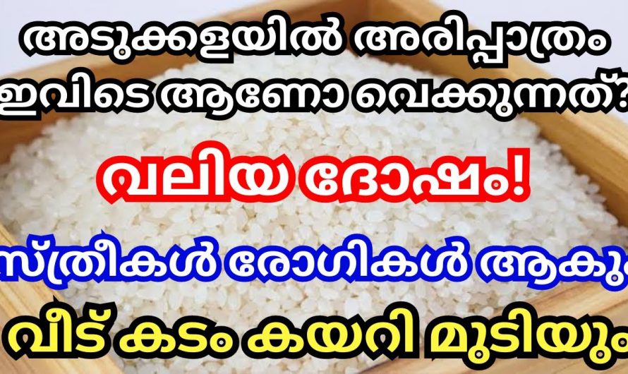 നിങ്ങളുടെ അടുക്കളയിലെ അരി പാത്രം എങ്ങനെയാണ് സൂക്ഷിക്കുന്നത് എങ്കിൽ സംഭവിക്കാൻ പോകുന്നത്.