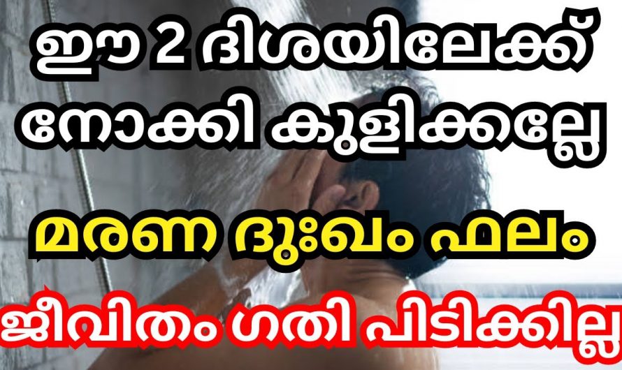 കുളിക്കുമ്പോൾ ഈ ഭാഗത്തേക്ക് ദർശനമാകുന്നതാണ് ഏറ്റവും ഉത്തമം