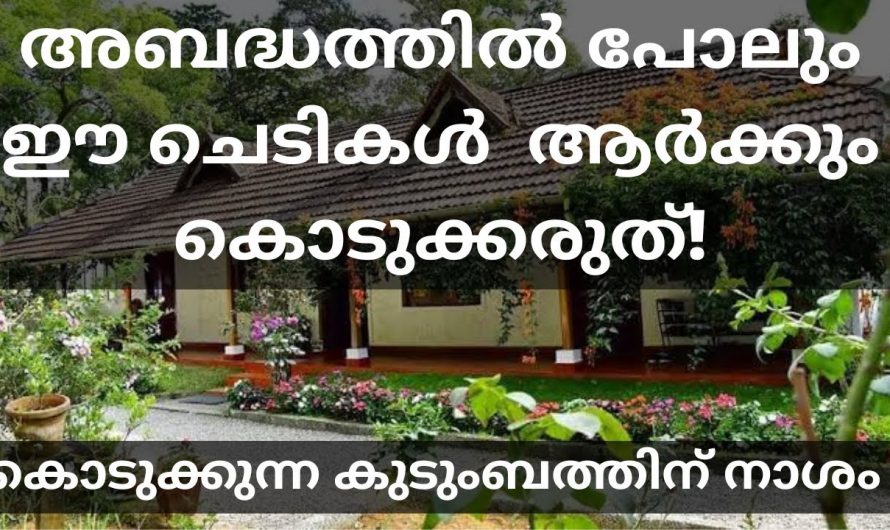 അബദ്ധത്തിൽ പോലും ഈ ചെടി മറ്റൊരാൾക്ക് കൈമാറരുത്. നിങ്ങളെ ദരിദ്രനാക്കാൻ ചിലപ്പോൾ ഇതു മതിയാകും