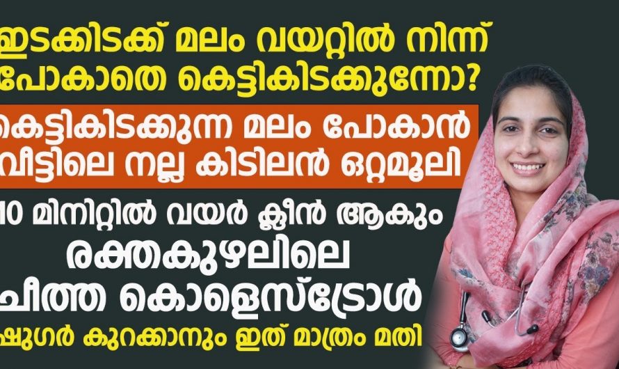 നിങ്ങളുടെ വയറും കുടലും ഒരുപോലെ ക്ലീൻ ആക്കും ഈ ഇല, ഇനി അസിഡിറ്റി ഒരു പ്രശ്നമേയല്ല