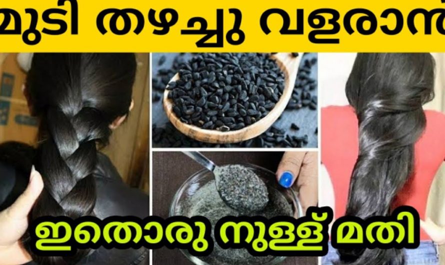 ഇനി എണ്ണ തിളപ്പിക്കേണ്ട കാചേണ്ട നിങ്ങൾക്കും മുട്ടറ്റം മുടി വളരും