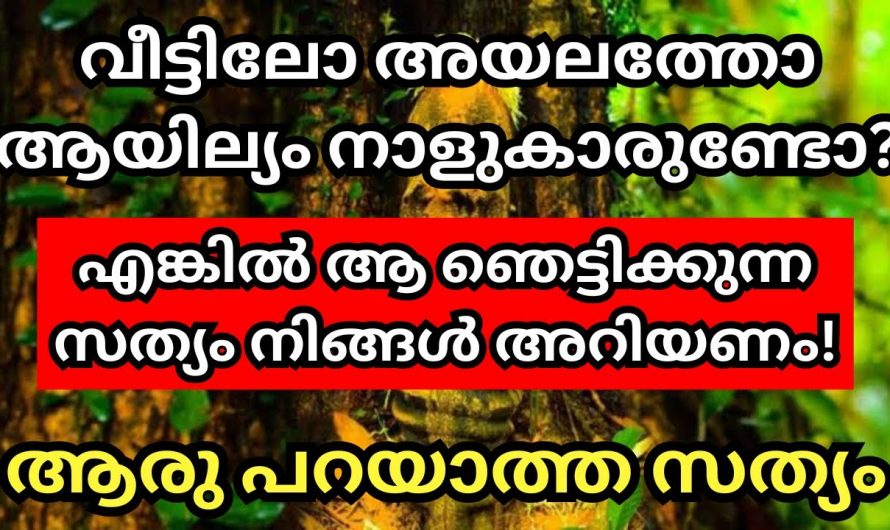 അയലത്തെ ആയിലത്തെ ഇനി ഭയക്കേണ്ട ഈ മരങ്ങൾ വച്ചാൽ മതി