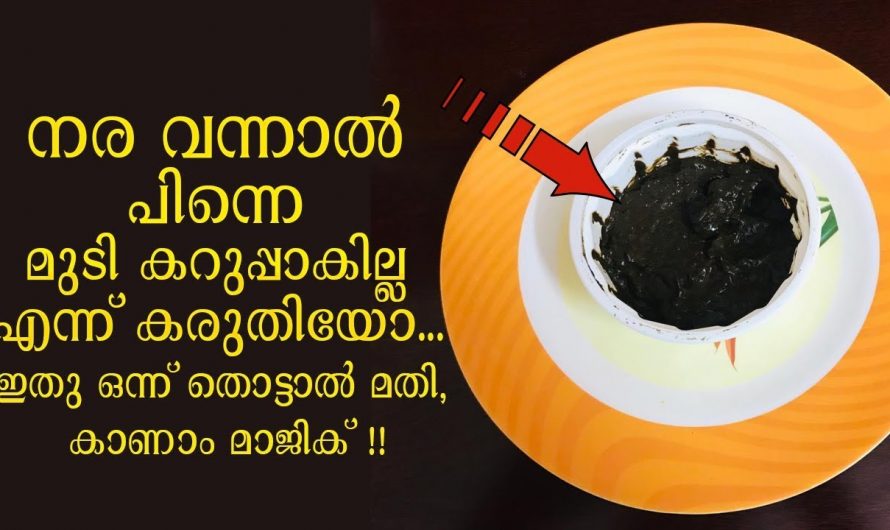 ഇത് മായാജാലം അല്ല നിങ്ങളുടെ മുടി ഇനി കട്ട കറുപ്പ് ആകും.