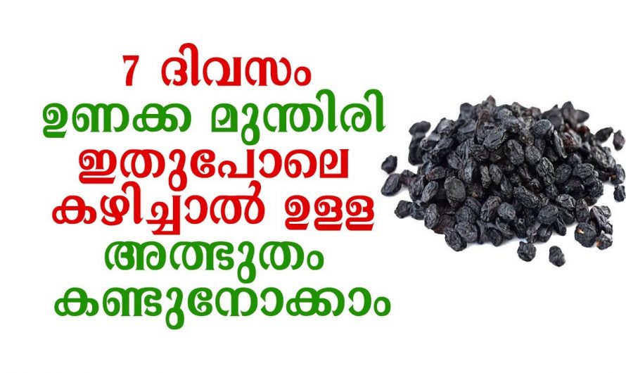 തുടർച്ചയായി ഏഴുദിവസം ഉണക്കമുന്തിരി ഇങ്ങനെ കഴിച്ചാൽ സംഭവിക്കുന്നത്