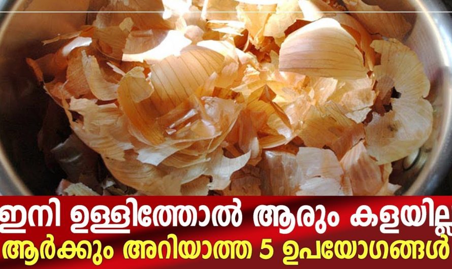 ഇനി ഉള്ളി തൊലി വെറുതെ കളയല്ലേ, ഈ കാര്യങ്ങൾ അറിഞ്ഞാൽ ആർക്കും ഇങ്ങനെ കളയാൻ സാധിക്കില്ല