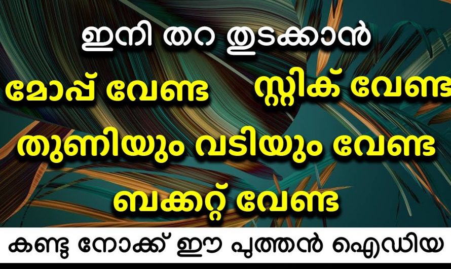 ഇനി നിലം തുടയ്ക്കാൻ ഇതിലും എളുപ്പമാർഗം വേറെയില്ല