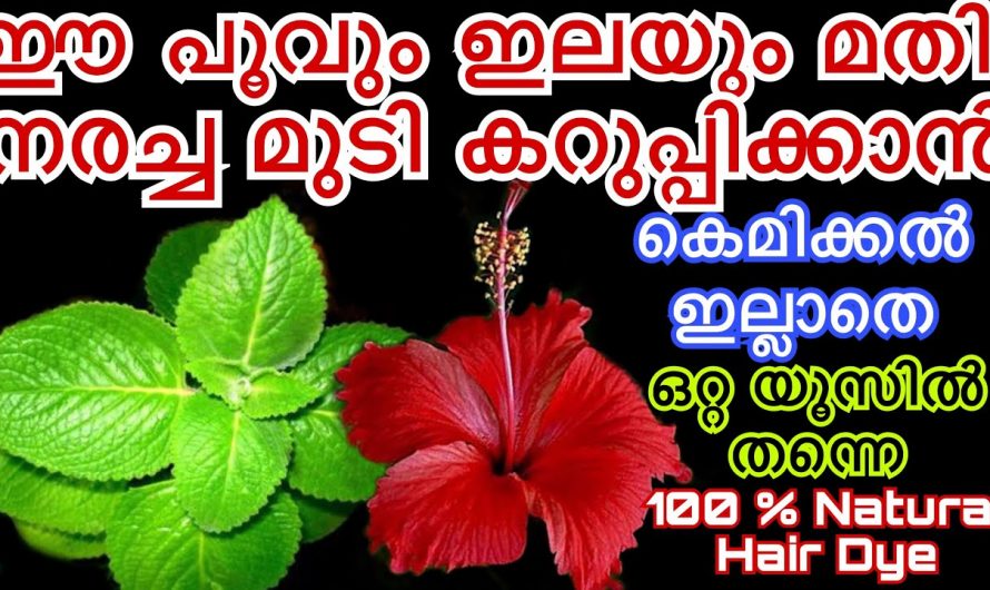 ഇനി തല കറുപ്പിക്കാൻ ഇതിലും നാച്ചുറൽ മാർഗം വേറെയില്ല