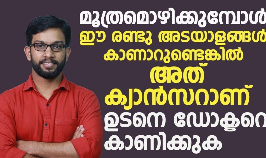 ഇങ്ങനെ ചെയ്താൽ വളരെ മുൻപേ ക്യാൻസറിനെ   തിരിച്ചറിയാം