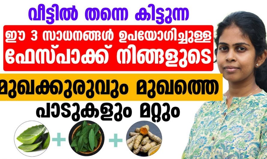 മുഖക്കുരുവും പാടുകളും ഇല്ലാതാക്കാൻ ഇനി ദിവസവും ഇങ്ങനെ ചെയ്യു