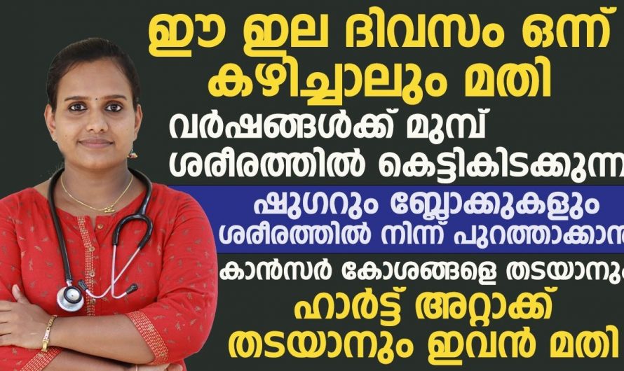 എത്ര പഴകിയ കൊളസ്ട്രോളും ഷുഗറും ഇല്ലാതാക്കാൻ ഇനി ഈ ഒരു ഇല മതി