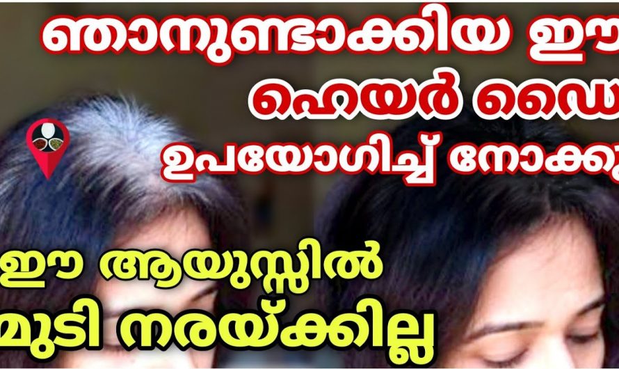 കിളിർത്തുവരുന്ന മുടി പോലും കറുത്ത് പോകും ഈ പാക്ക് ഉപയോഗിച്ചാൽ