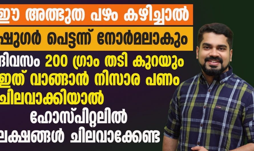 ദിവസവും ഇത് ഒരെണ്ണം കഴിച്ചാൽ മതി എത്ര വലിയ തടിയും കുറയും പ്രമേഹവും നിയന്ത്രിക്കാം