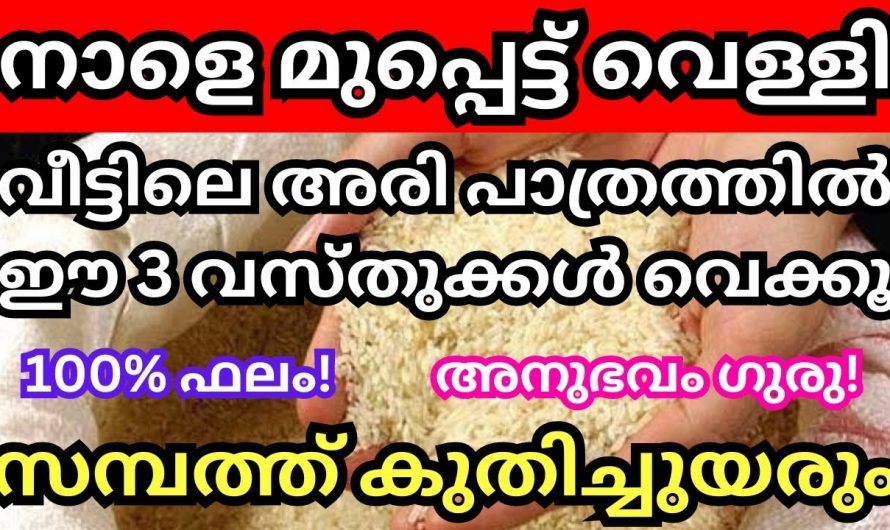 നിങ്ങളുടെ വീട്ടിലെ അരി പാത്രത്തിൽ ഈ ഒരു കാര്യം മാത്രം ചെയ്താൽ നിങ്ങൾ ഒരു സമ്പന്നൻ ആകും