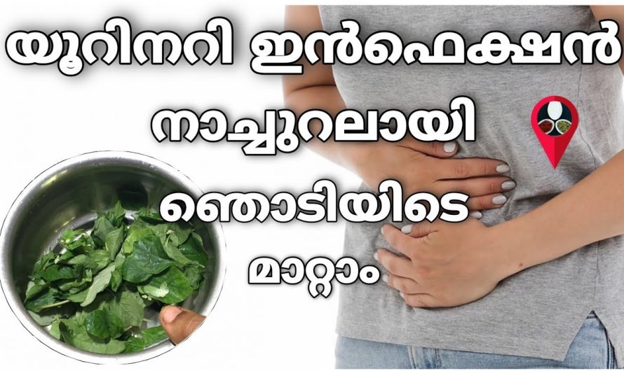 വെറുതെ നശിച്ചു പോകുന്ന ഇതാണ് നിങ്ങളുടെ യൂറിനറി ഇൻഫെക്ഷൻ ഉള്ള പരിഹാരം