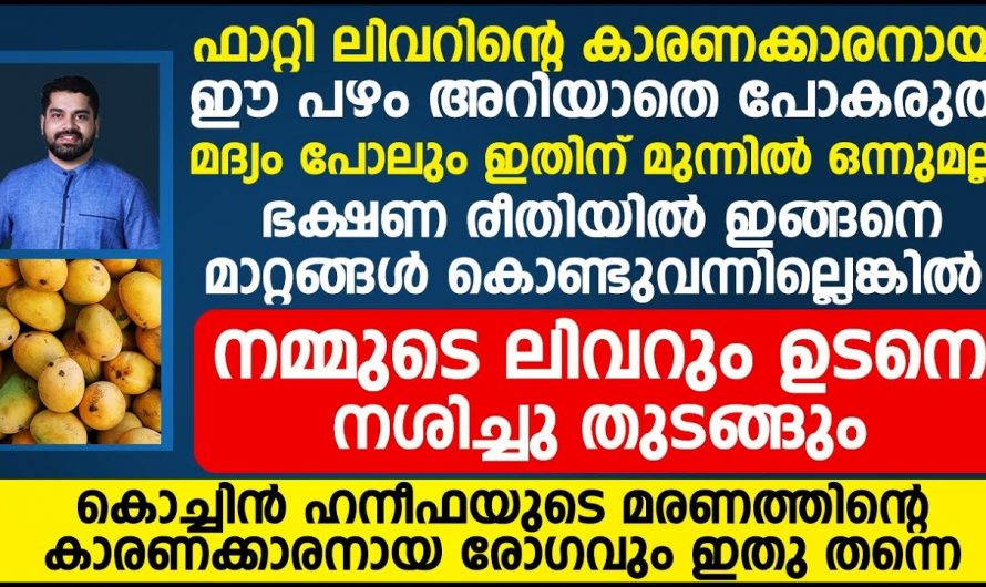 നിങ്ങൾക്ക് അറിയാമോ ഫാറ്റി ലിവർ വരുന്നതിന് മദ്യം ഒരു കാരണമേ അല്ല