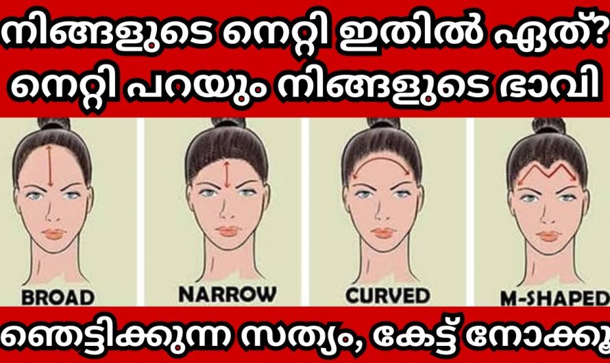 നിങ്ങളുടെ നെറ്റി ഈ ആകൃതിയിൽ ഉള്ളതാണോ,   എങ്കിൽ ഇക്കാര്യം ഉറപ്പാണ്