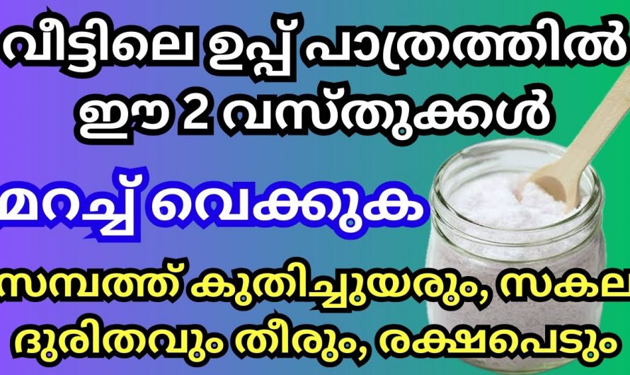 സമ്പത്ത് കൈവരാൻ ഇനി അടുക്കളയിൽ ഉണ്ട് മാർഗം