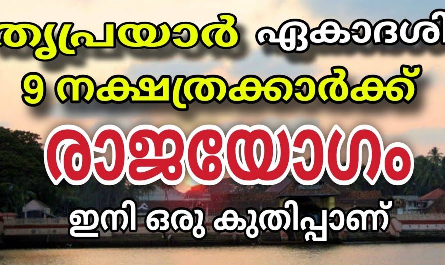 ഈ ഏകാദശി അങ്ങനെ വിട്ടു കളയേണ്ട നിങ്ങൾക്ക് വലിയ ഗുണം ലഭിക്കും