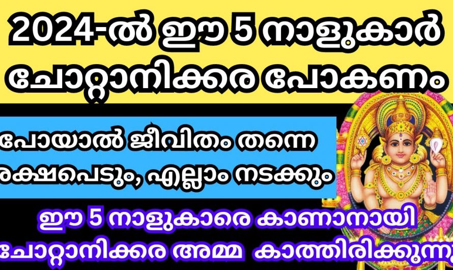 ഈ സമയത്ത് ചോറ്റാനിക്കര അമ്മയെ കണ്ടാൽ ഭാഗ്യം ഉറപ്പാണ്